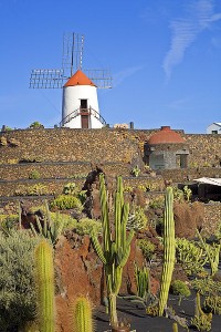Lanzarote JardinDeCactus